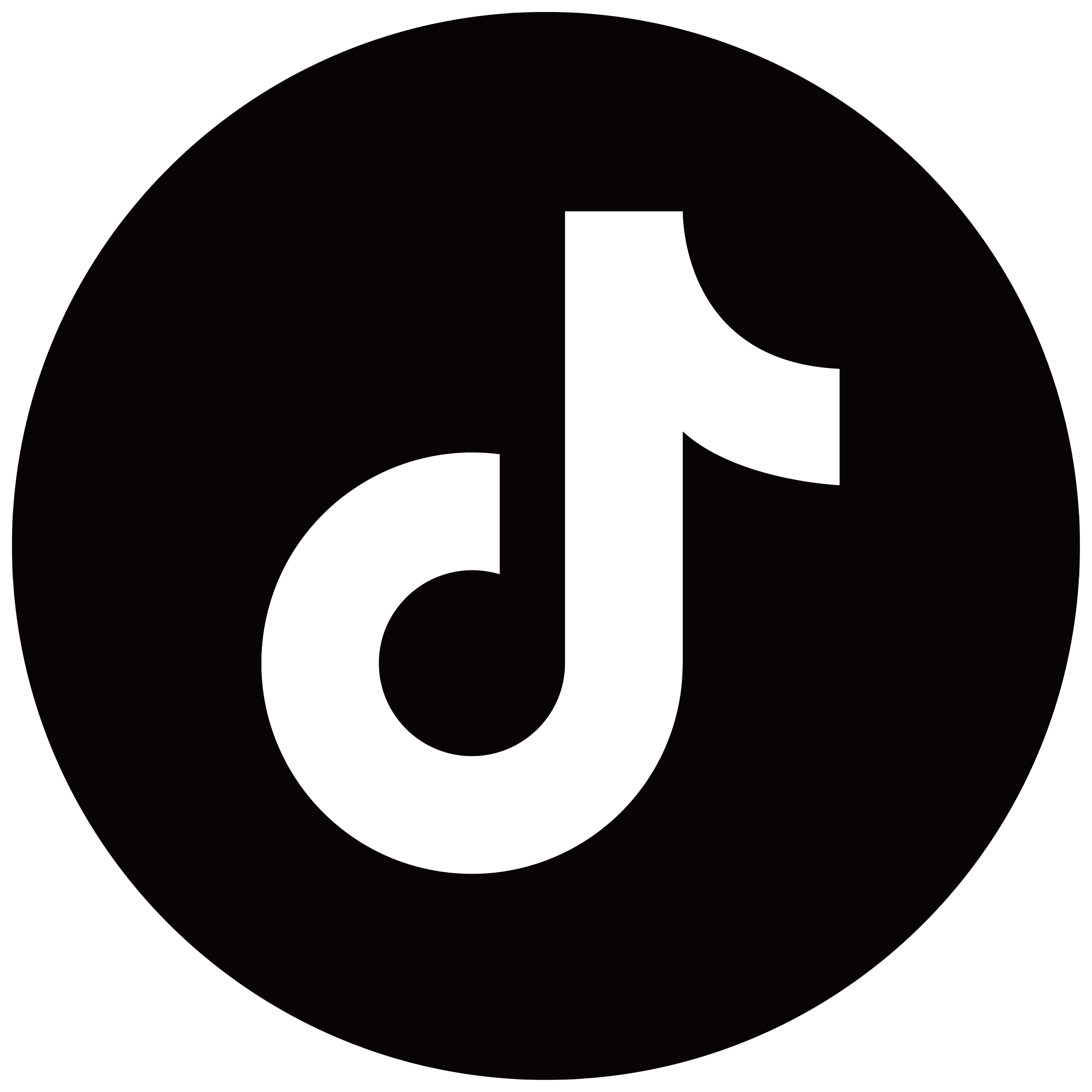 tiktok favicon round